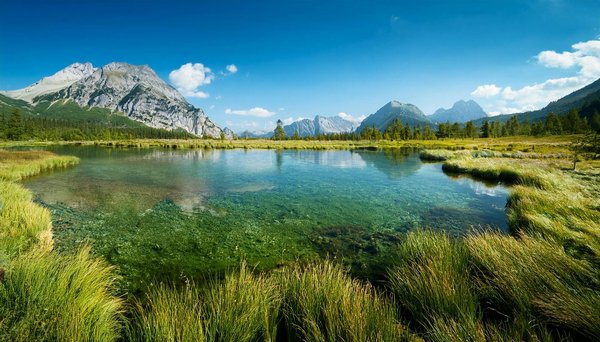 Explore unforgettable birdwatching escapes in stunning lake district havens